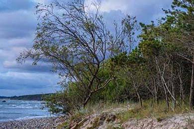 CS_GO美洲RMR赛战况激烈，美洲赛区